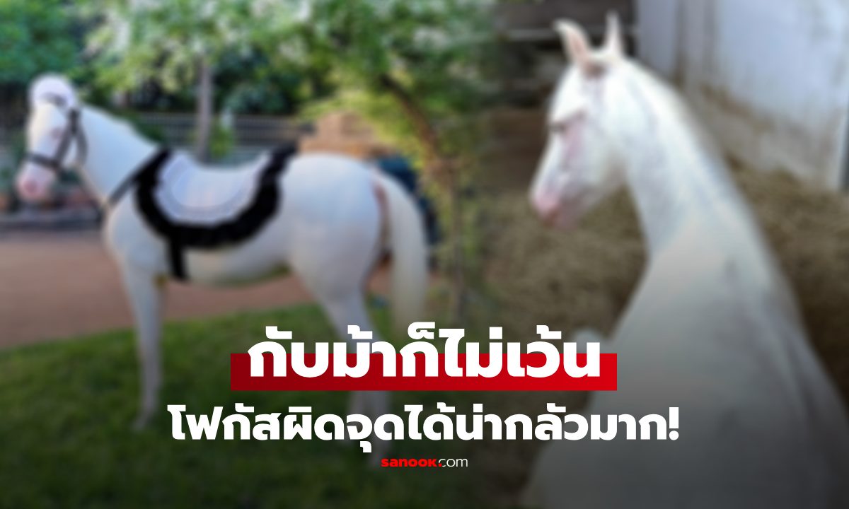 เจ้าของโพสต์ภาพ \