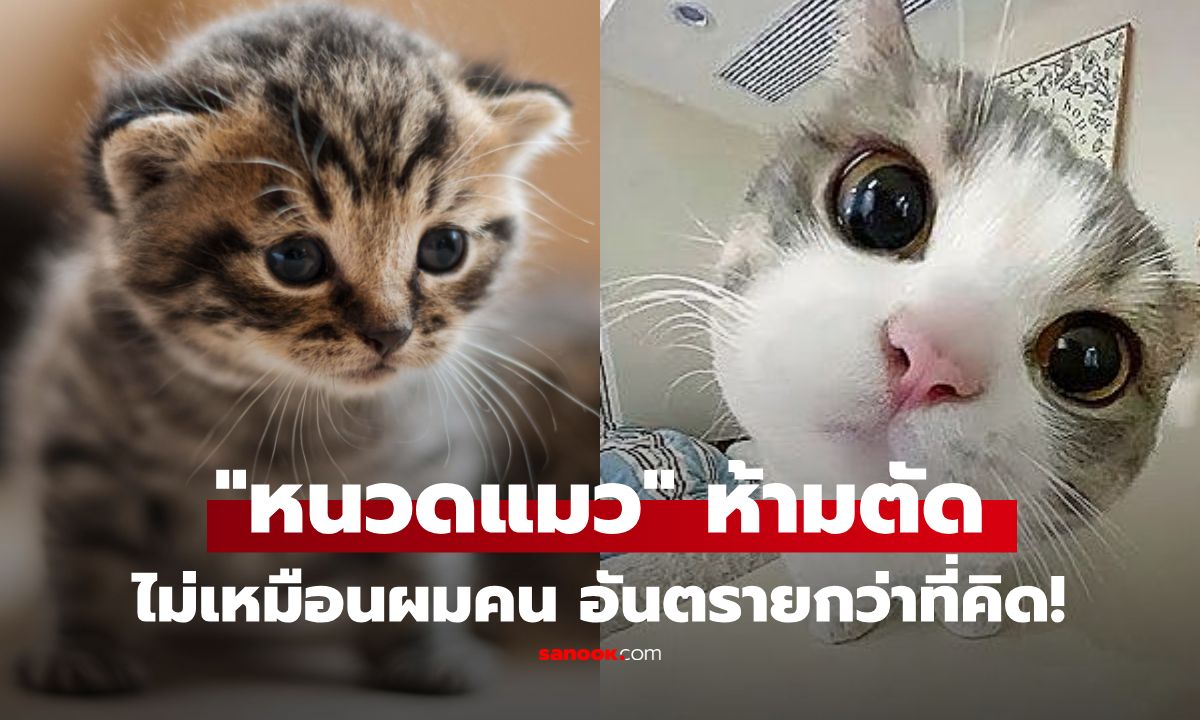 ไขความลับ \