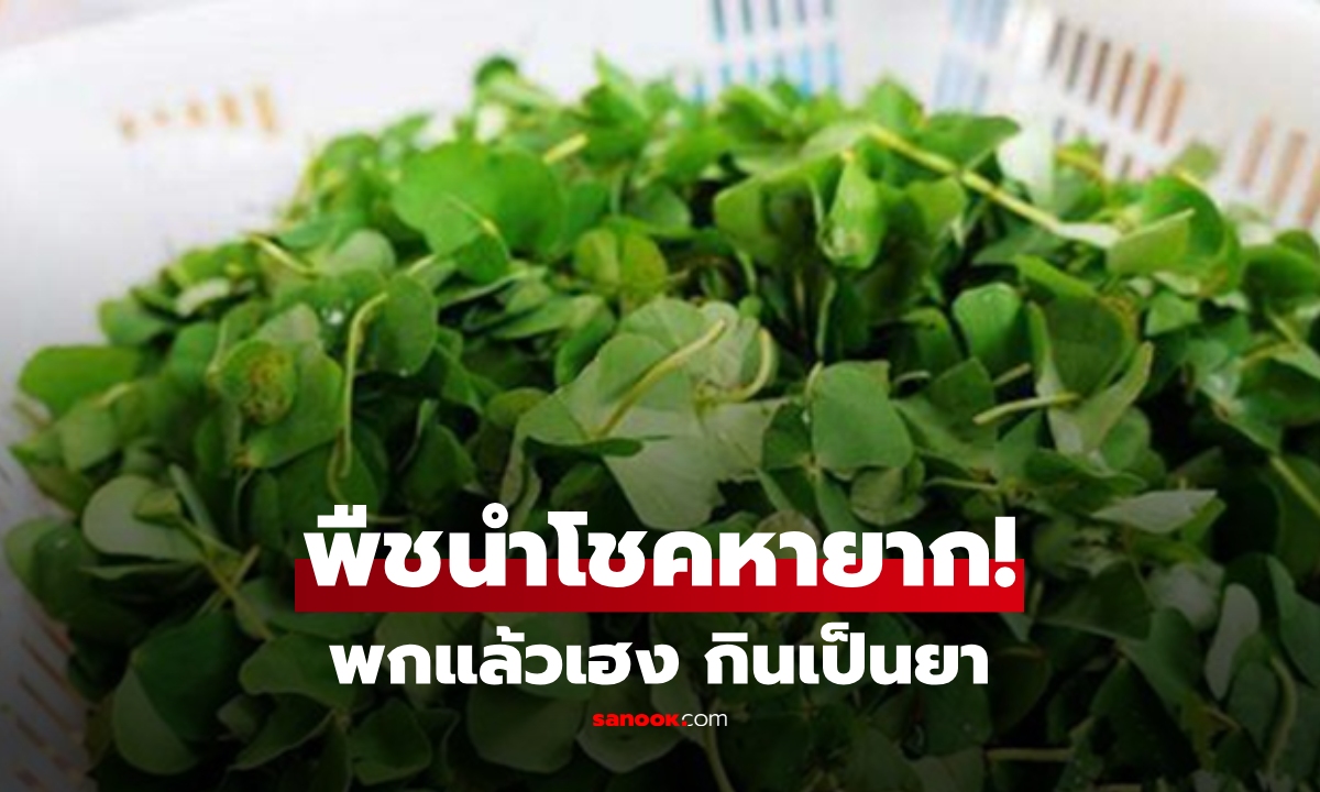 รู้จักไหม? \