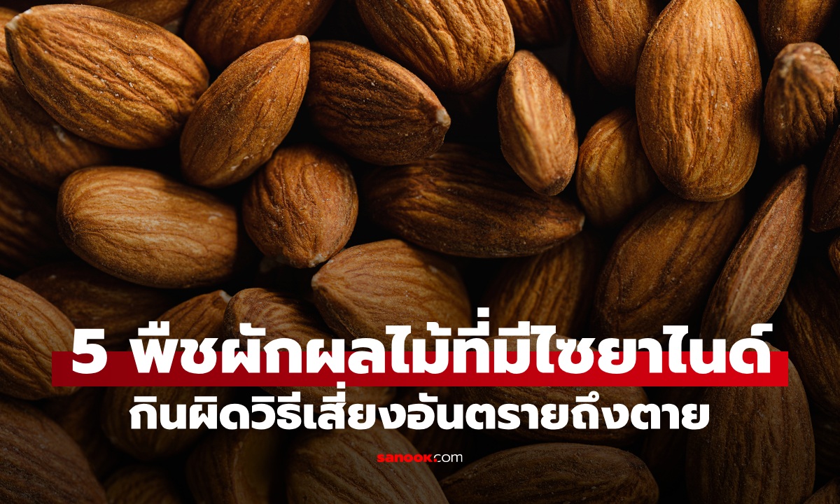 5 พืชผักผลไม้ที่มี \