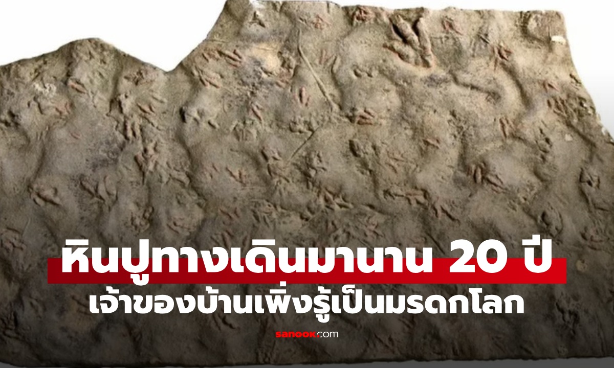 หินปูทางเดินเป็นรอยเหมือน \