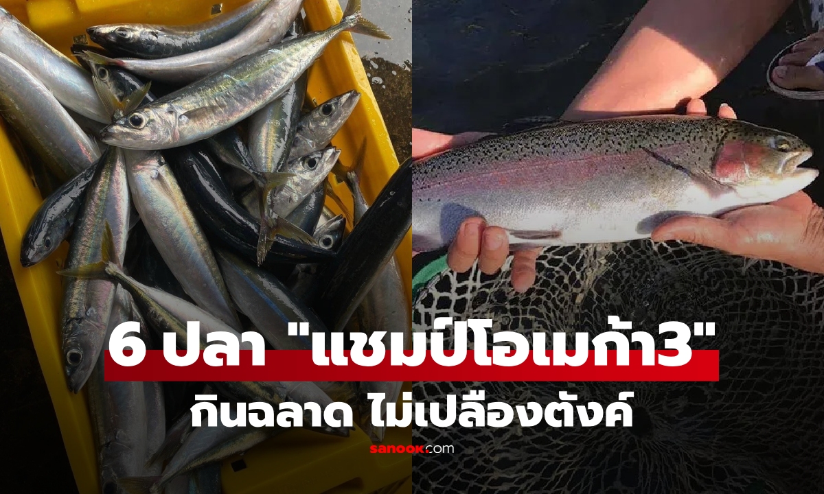 โพยลับแม่บ้าน!  6 ปลาตลาด \