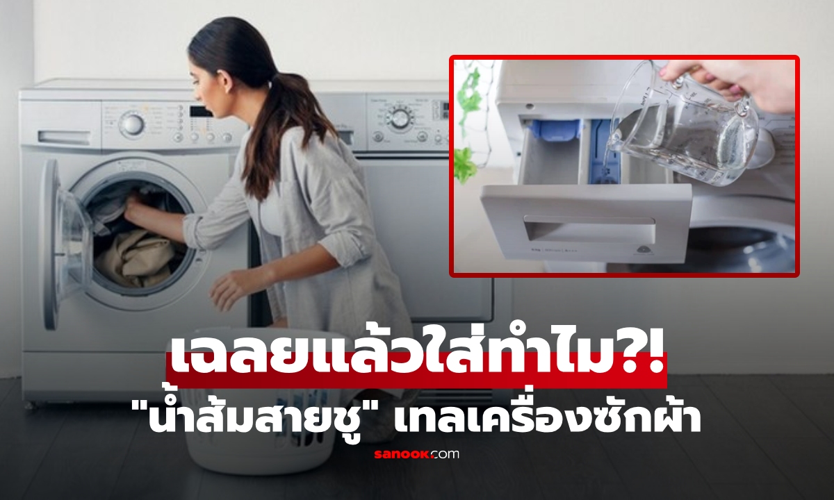 เว็บดังเฉลย \