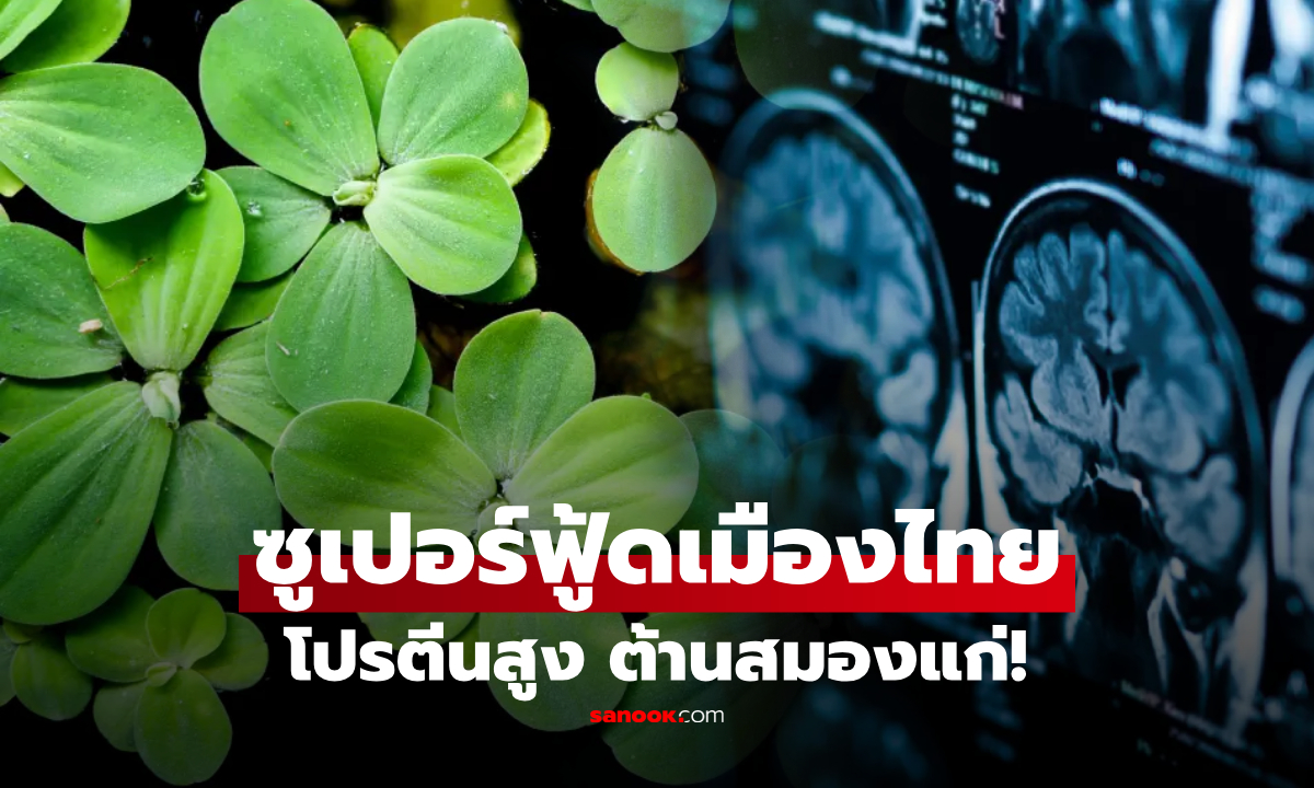 ไทยมีของดี! สุดยอดพืชฉายา \