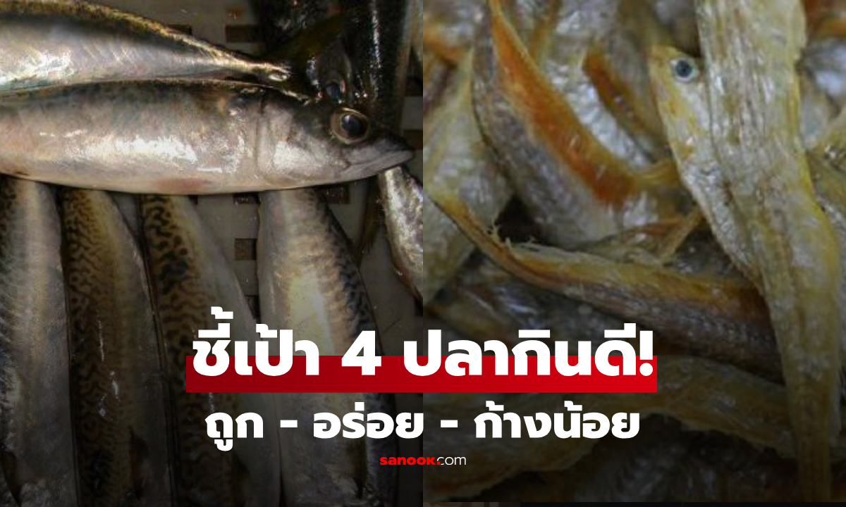 ถูกและดีมีจริง! รวมมาให้ 4 ปลาทะเล \