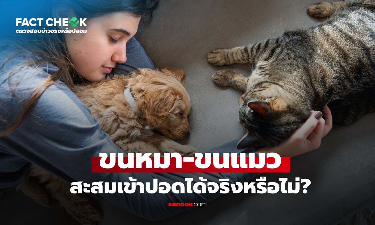 เช็กข่าวชัวร์ : ขนหมา-ขนแมว หลุดเข้าไปสะสมในปอดได้จริงหรือไม่? มีคำตอบ