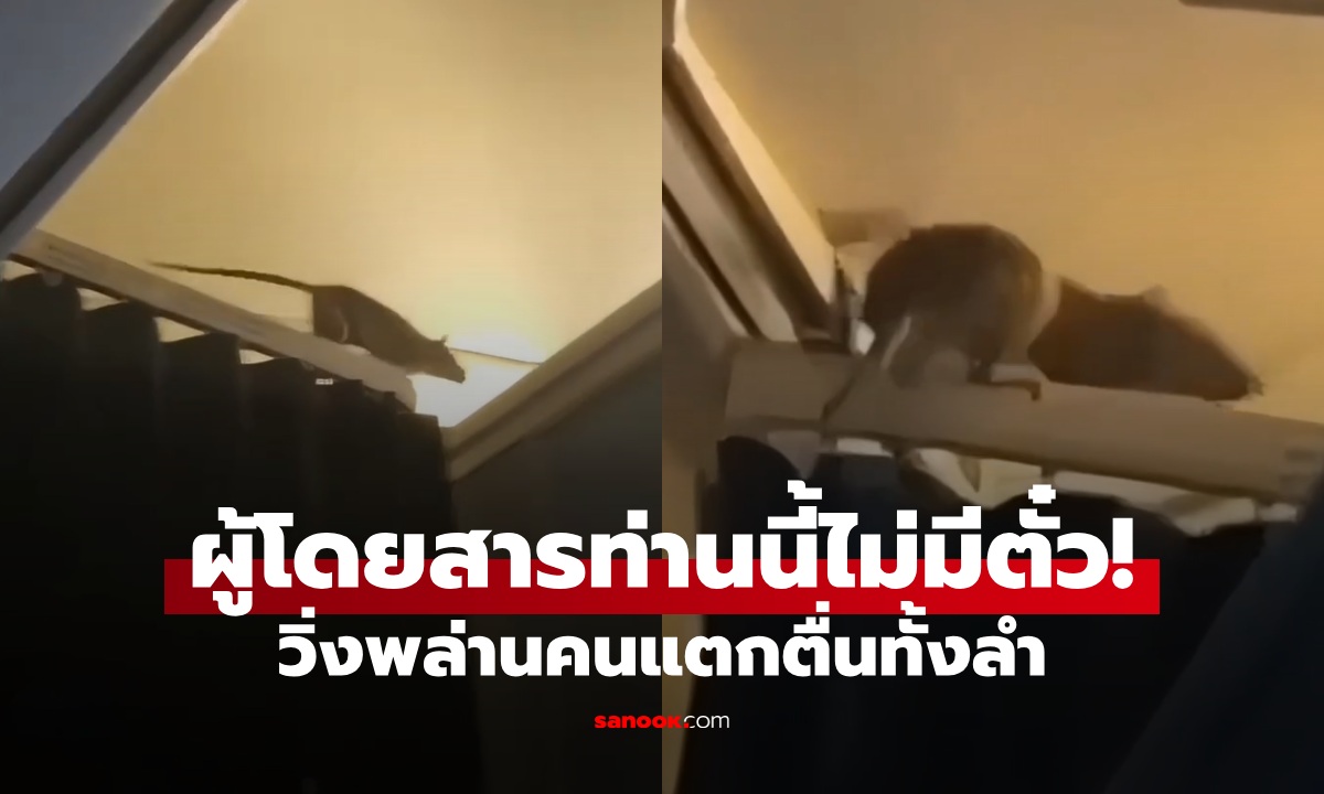 แตกตื่นทั้งลำ \