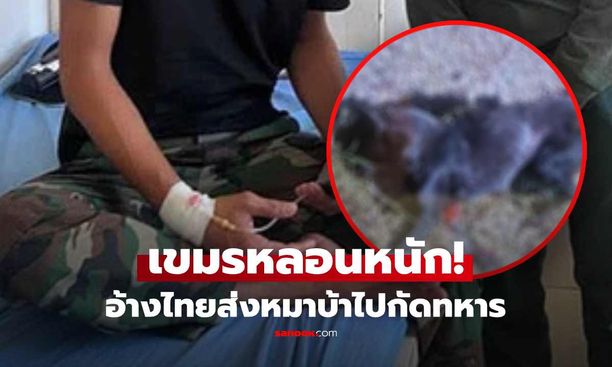 หนักแล้วพี่! เขมรยิงหมาเซ่นหลอนไปเอง อ้างไทยส่งหมาติดเชื้อ กัดแนวหน้าเจ็บ