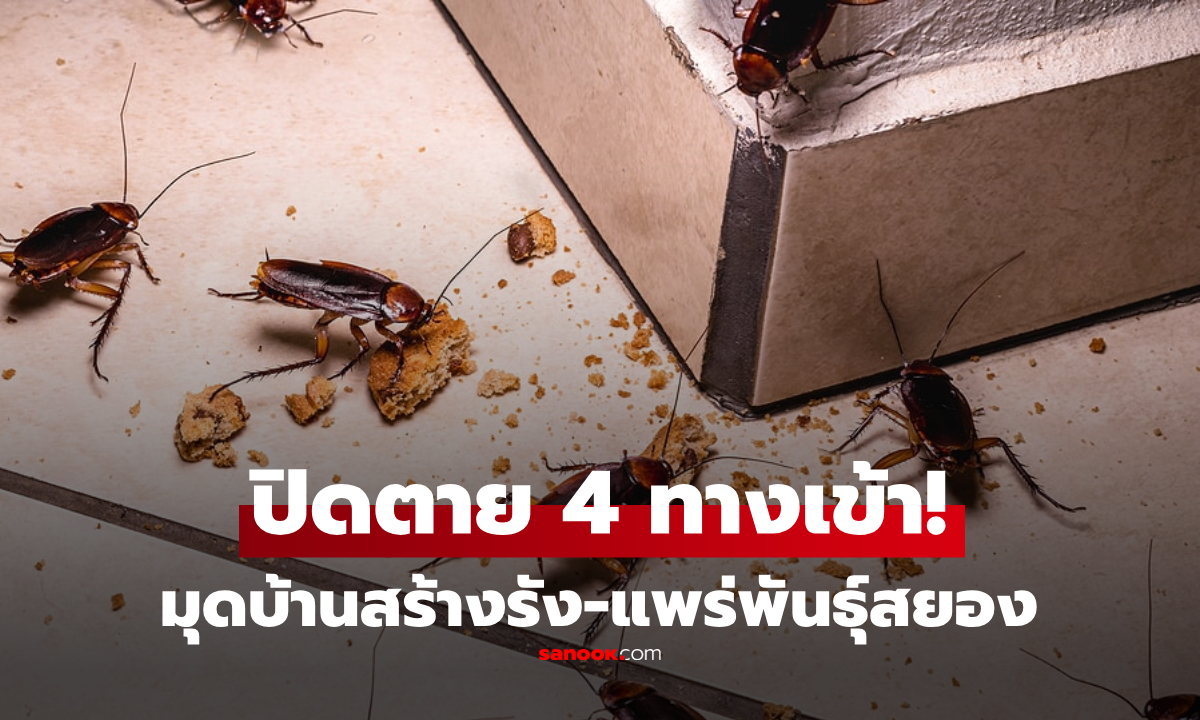 บ้านใครมี?! ปิดตายทางเข้า 4 จุดที่ \