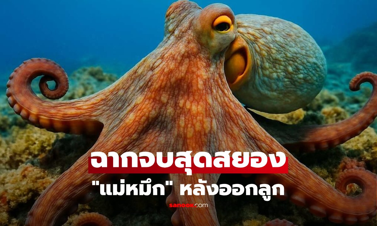 ไขพฤติกรรมสยอง \