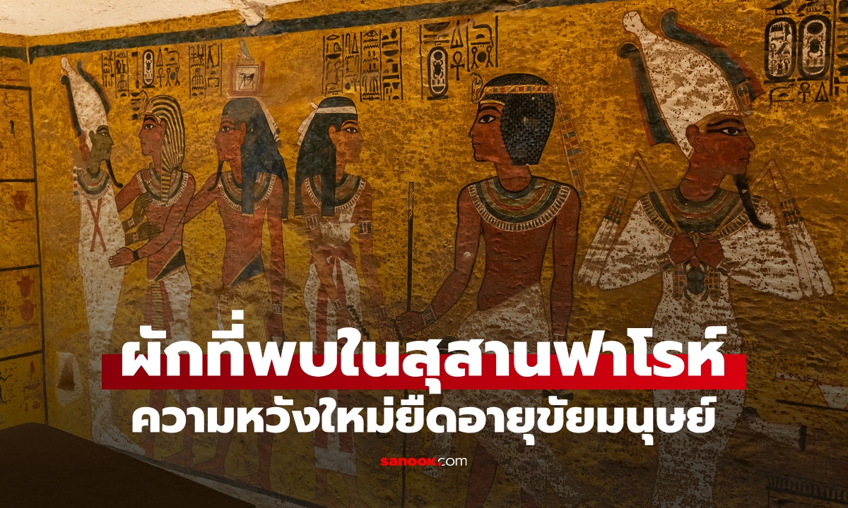 ผัก 1 ชนิดที่พบใน \