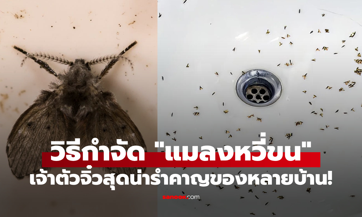 วิธีกำจัด \