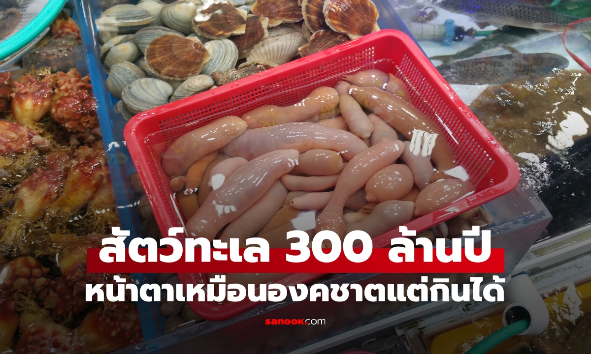 สัตว์ทะเล 300 ล้านปี หน้าตาเหมือน \