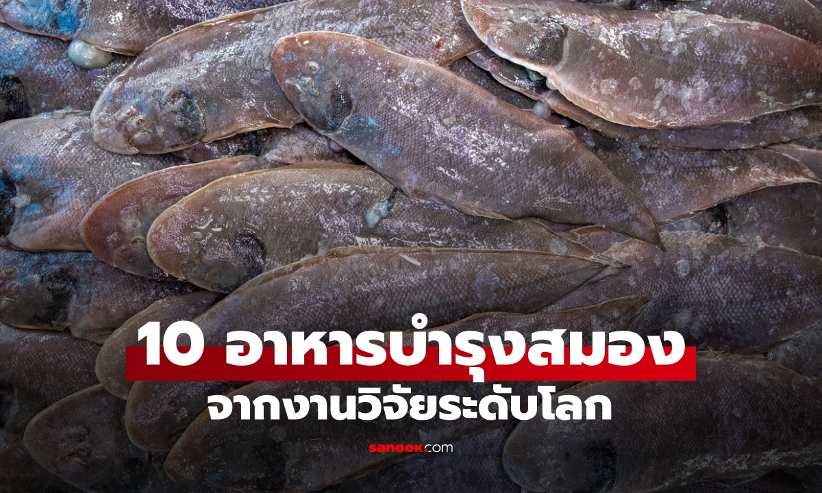 10 อาหารบำรุงสมอง เสริมความจำดี ป้องกันอัลไซเมอร์ จากงานวิจัยระดับโลก