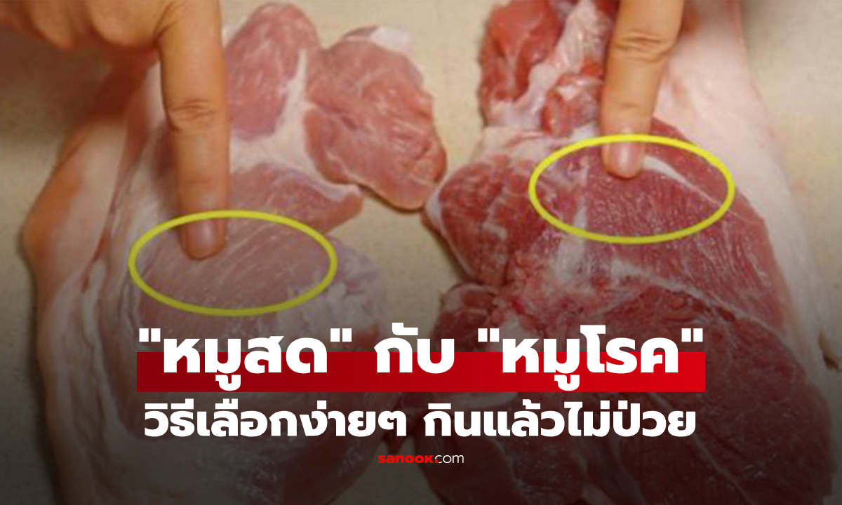ระวังหมูย้อมแมว! สอนวิธีแยก \