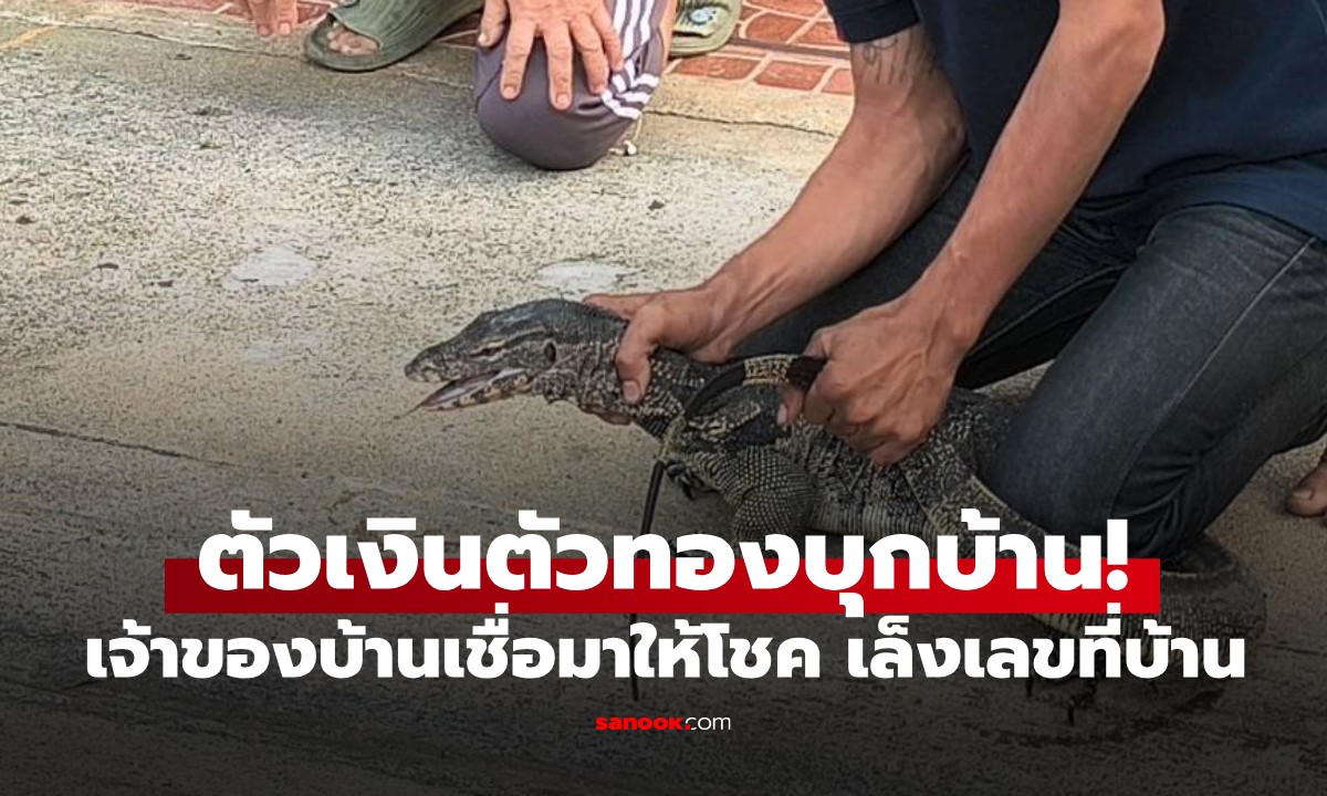ตัวเงินตัวทองบุกบ้าน! ไซส์ยักษ์ 20 โลฯ เจ้าของบ้านเชื่อมาให้โชค เล็งเลขที่บ้าน