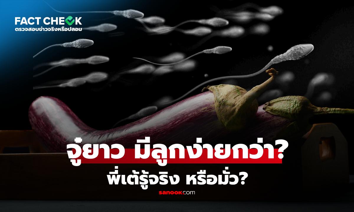 นโยบาย \