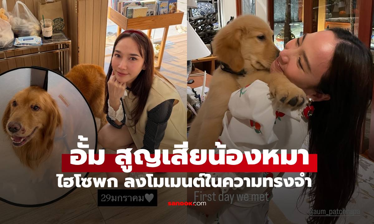 "ไฮโซพก" ลงภาพเศร้า "อั้ม พัชราภา" อำลาคินตะสุนัขแสนรัก โมเมนต์ในความทรงจำ