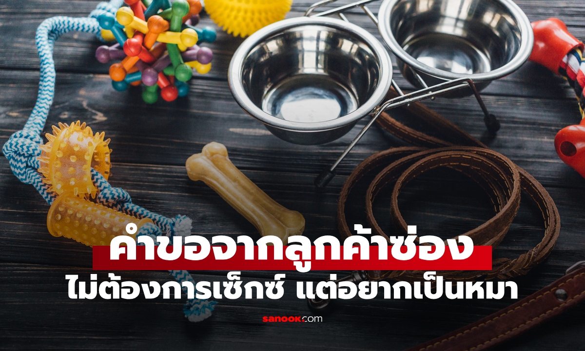 เปิดใจผู้จัดการซ่อง คำขอสุดแปลกของลูกค้า ไม่ต้องการเซ็กซ์ แต่อยากเป็น "หมา"