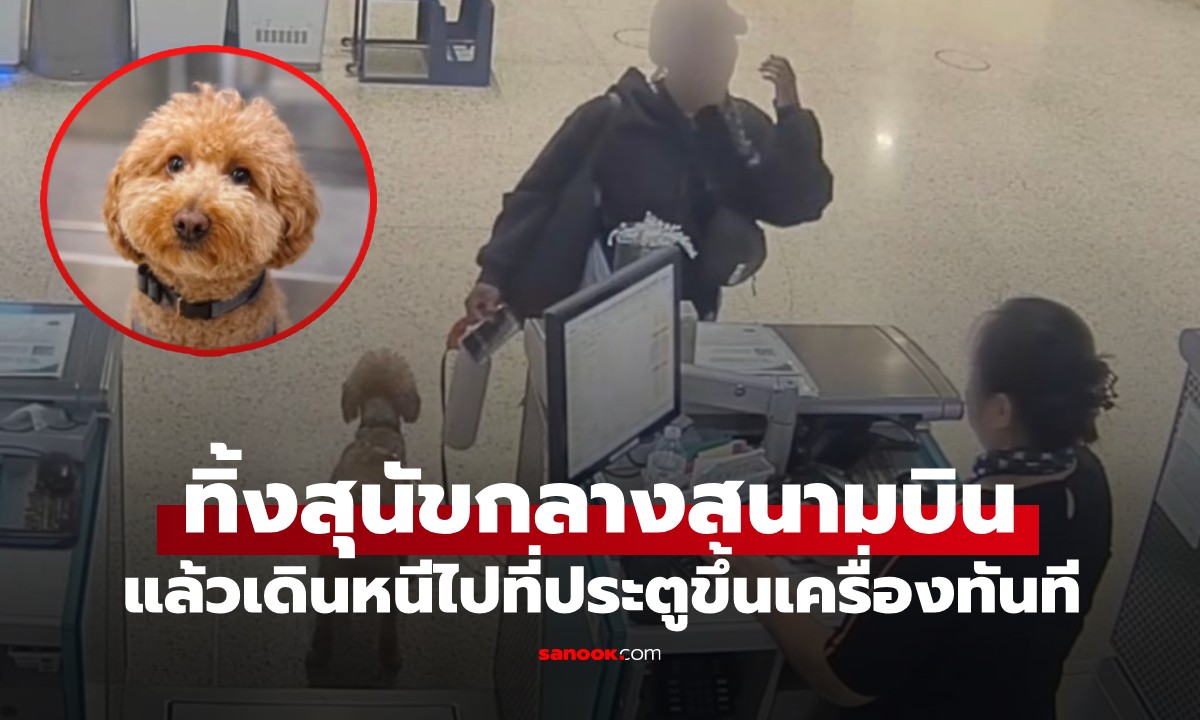 เหลือจะเชื่อ! เจ้าของใจร้าย ทิ้งสุนัขที่สนามบินหน้าตาเฉย หลังถูกห้ามนำขึ้นเครื่อง (มีคลิป)