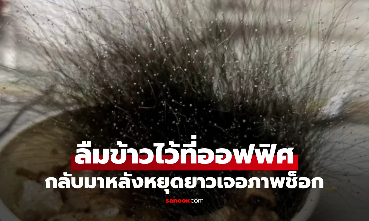 พนักงานลืม "ข้าว" บนโต๊ะทำงาน กลับมาสยองทั้งออฟฟิศ สิ่งมีชีวิตดกดำฟูฟ่อง!
