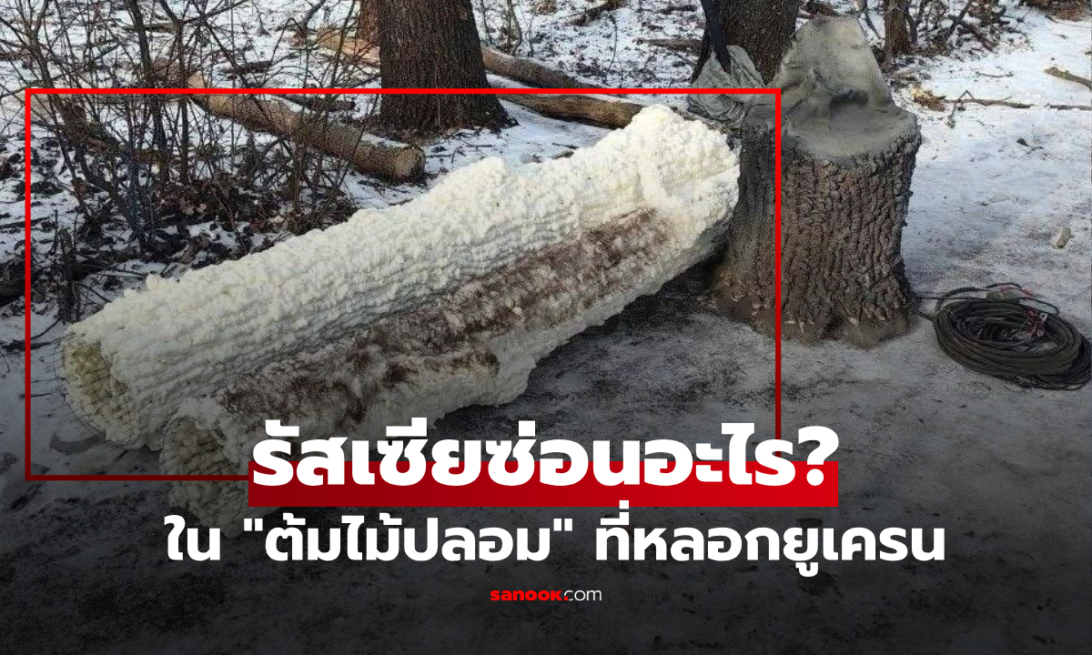 รู้เฉลยแล้วทึ่ง!! รัสเซียจงใจสร้าง "ต้นไม้ปลอม" หลอกล่อยูเครน สิ่งใดซ่อนอยู่ในลำต้น?