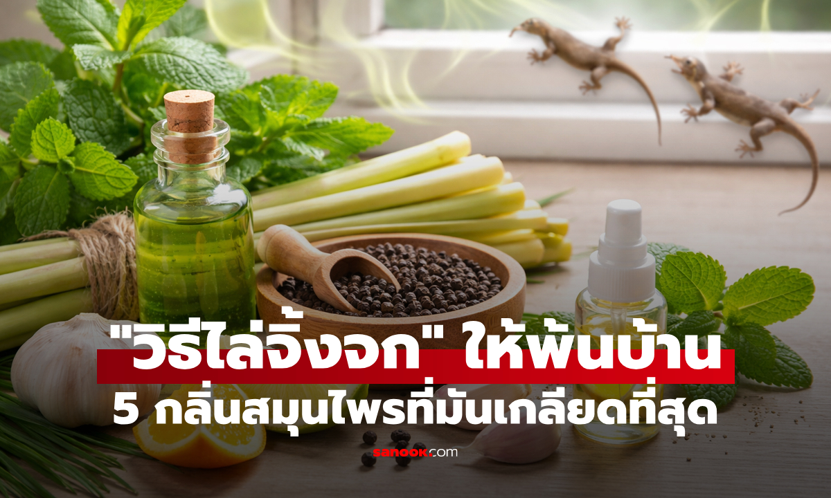 ขยะแขยงขี้จิ้งจก! "วิธีไล่จิ้งจก" ให้ออกไปจากบ้านถาวร ด้วยกลิ่นสมุนไพรที่มันเกลียดที่สุด