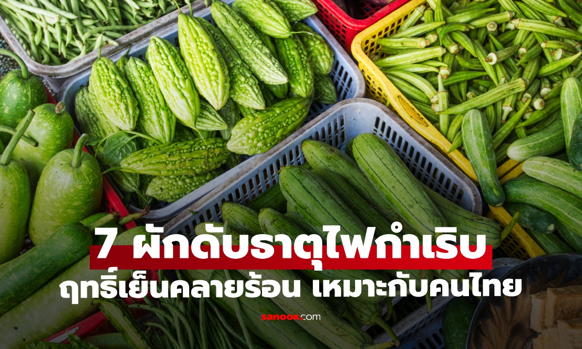 7 ผักฤทธิ์เย็น ดับธาตุไฟกำเริบ พืชบ้านๆ คลายร้อนจากภายใน เหมาะกับคนไทย