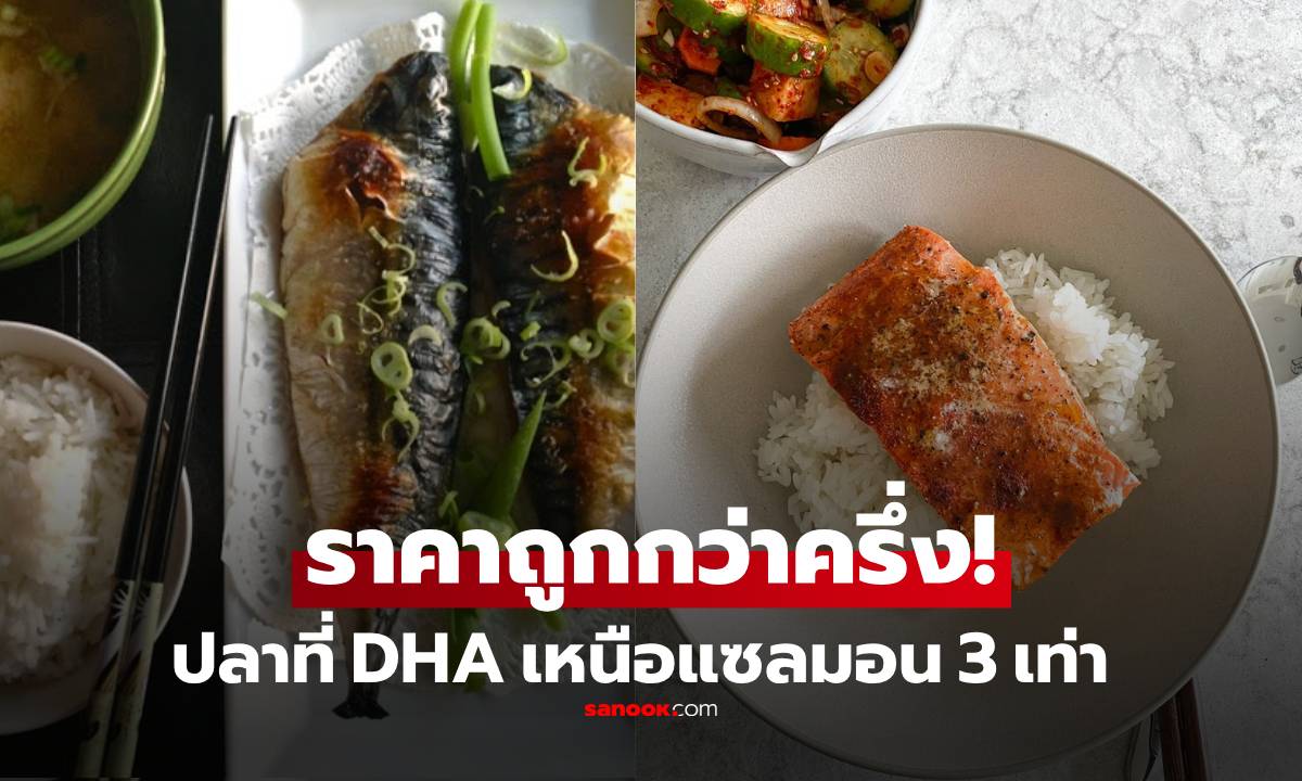 ไม่กินจะเสียดาย! ปลาไทยๆ ที่โปรตีนและ DHA "สูงกว่า" แซลมอน 3 เท่า แต่ราคาถูกมาก