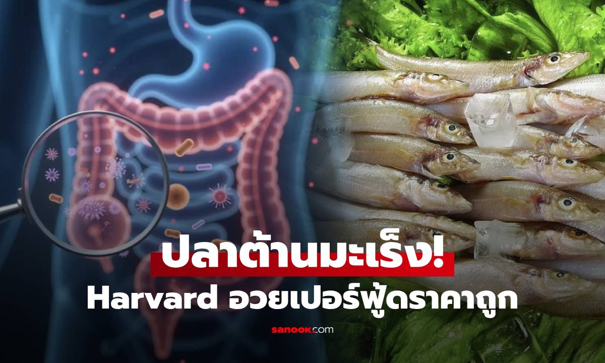 ฮาร์วาร์ดอวยยศ "ปลาชนิดนี้" ต้านมะเร็งลำไส้ได้ถึง 31% หากินง่าย ราคาไม่แพง!!