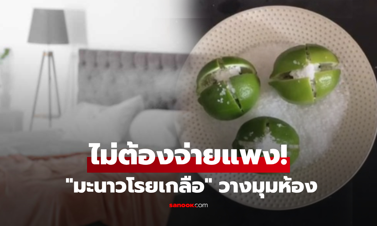 ไม่ใช่เรื่องมู! ทำไมหลายบ้านวาง "มะนาวโรยเกลือ" ไว้มุมห้อง เคล็ดลับง่ายๆ ที่ได้ผลจริง