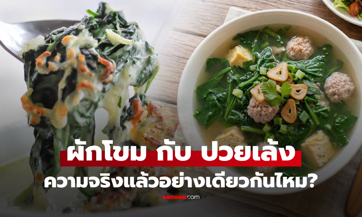 "ผักโขม" กับ "ปวยเล้ง" เหมือนกันไหม? ต่างกันจริง หรือแค่คนละสัญชาติ หลายคนเข้าใจผิดมาตลอด!