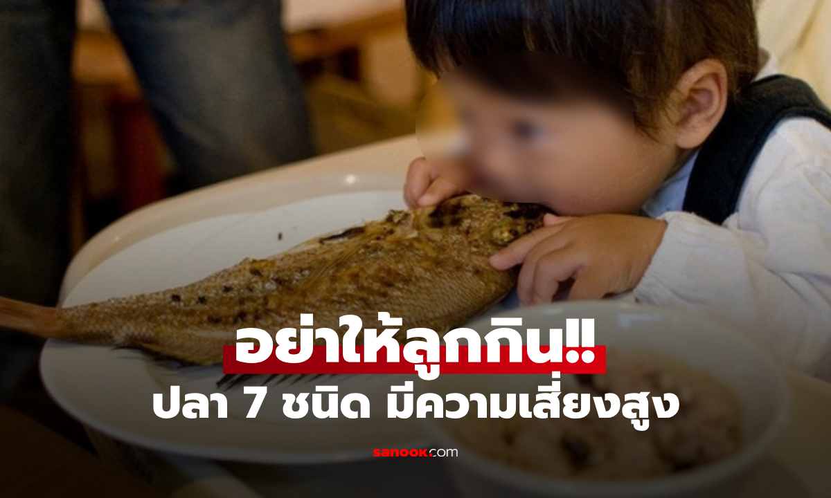 อย่าให้ลูกกิน! เปิดลิสต์ 7 ปลาเสี่ยง “ปรอท” สะสมโลหะหนัก พร้อมแนะ "ปลาดี" ที่ควรมีในมื้อ
