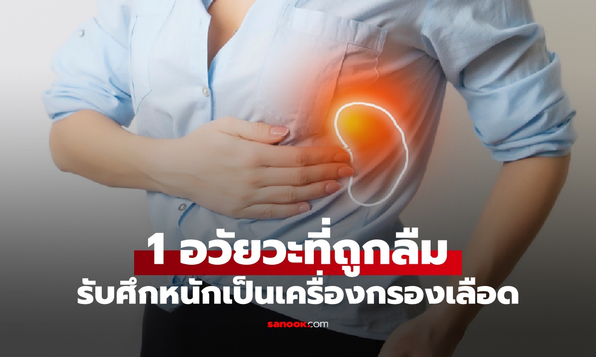 1 อวัยวะที่ถูกลืม ซ่อนตัวเงียบๆ แถวซี่โครง รับศึกหนักเป็นเครื่องกรองเลือด ต่อสู้เชื้อโรค