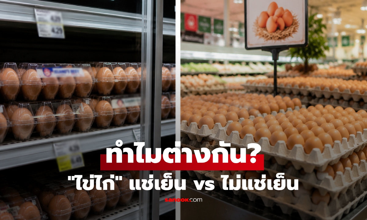 ทำไมคนอเมริกันต้อง “เก็บไข่ไว้ในตู้เย็น” แต่โปแลนด์ไม่ต้อง? คำตอบอยู่ที่เรื่องเดียวเท่านั้น!