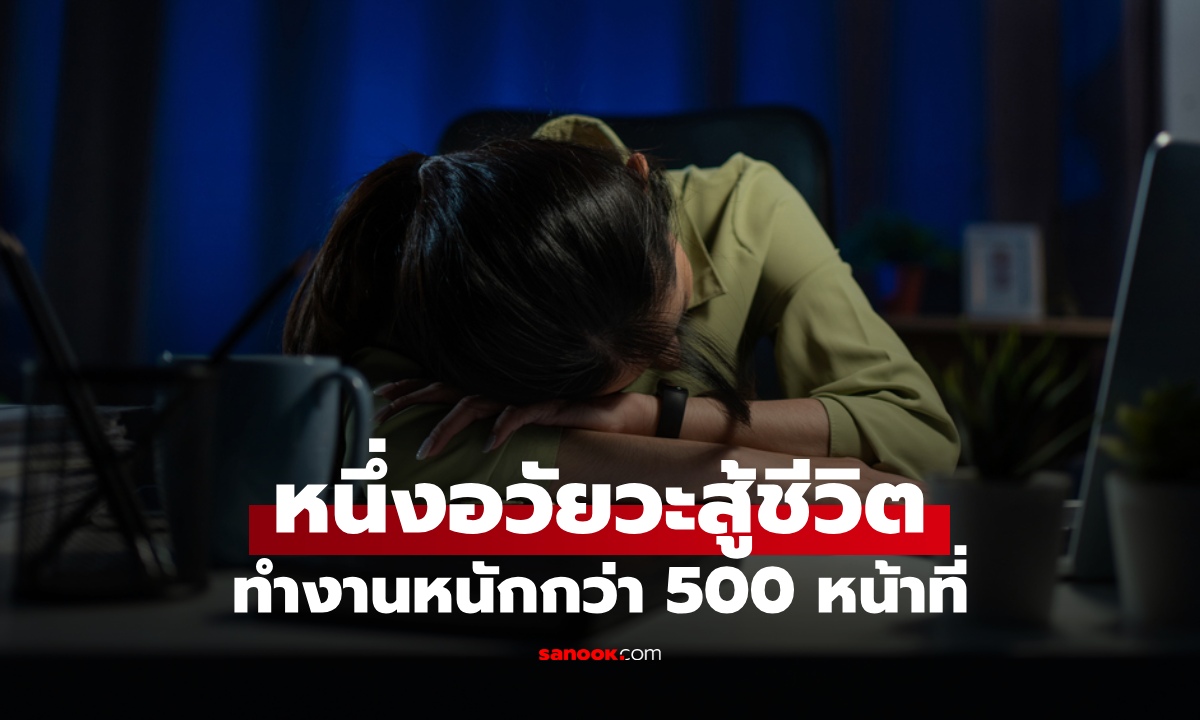 ไม่ใช่หัวใจ! อวัยวะที่เป็นโรงงานชีวิต ทำงานหนักกว่า 500 หน้าที่ ตลอด 24 ชั่วโมง