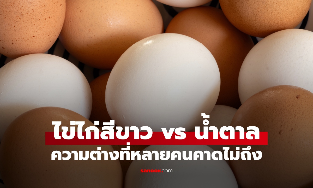 ไข่ไก่เปลือกสีน้ำตาล vs เปลือกสีขาว ต่างกันอย่างไร เลือกแบบไหนดีกว่ากัน?