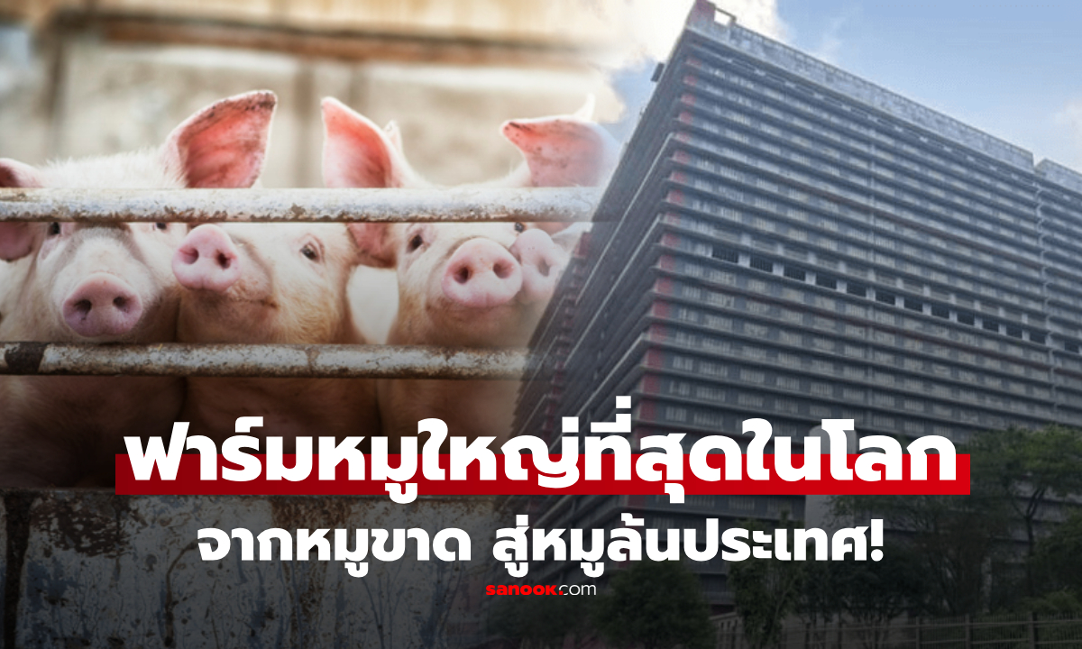 ตะลึง! ฟาร์มหมูจีน 26 ชั้น ใหญ่ที่สุดในโลก พ่นพิษ หลังผลิตหมูล้นตลาด ปีละกว่าล้านตัว