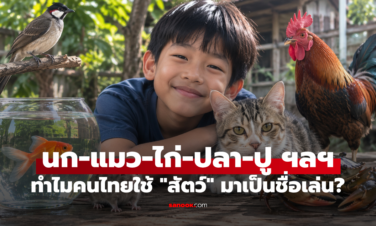 ทำไมคนไทยนิยมนำ "สัตว์" มาตั้งเป็นชื่อเล่น? เปิดที่มาของธรรมเนียมที่อยู่คู่สังคมไทยมานาน