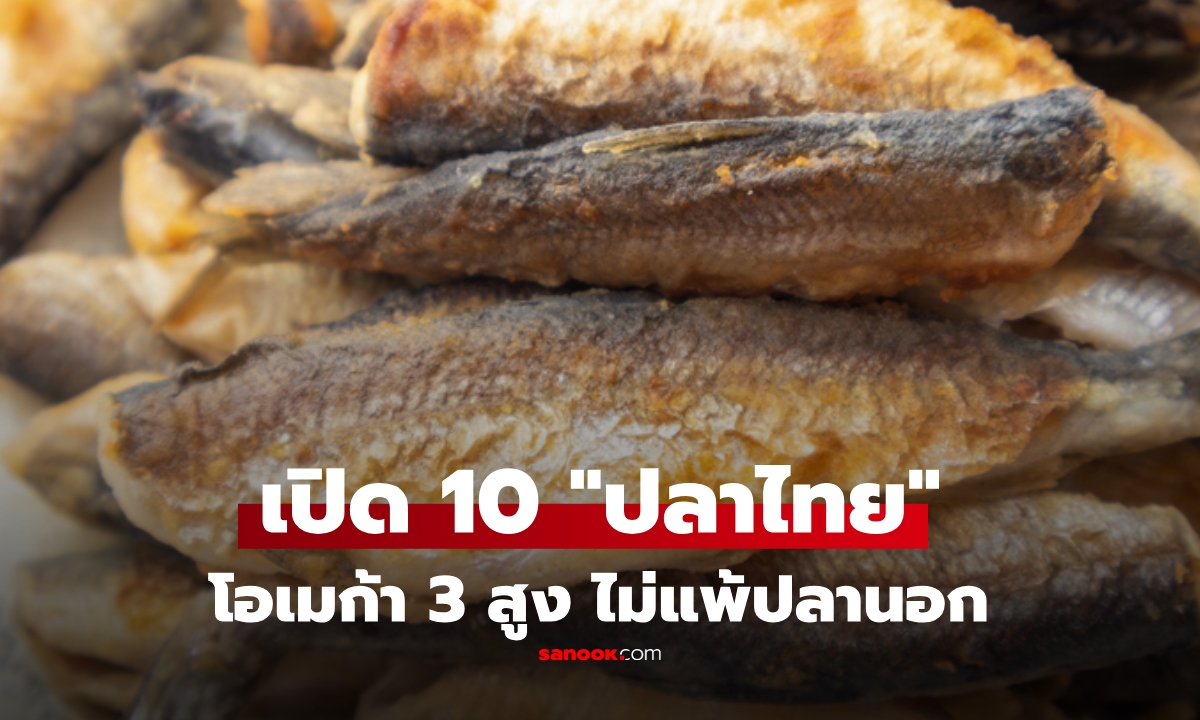 ไม่ง้อแซลมอน! เปิด 10 "ปลาไทย" โอเมก้า 3 สูง หาซื้อง่าย สบายกระเป๋าช่วงสิ้นเดือน