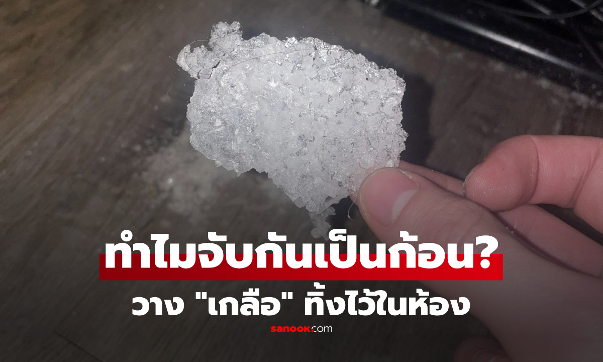 "เกลือ" จับกันเป็นก้อน สัญญาณเตือนอะไรในบ้าน? เฉลยแล้ว อันตรายต่อสุขภาพหรือไม่!