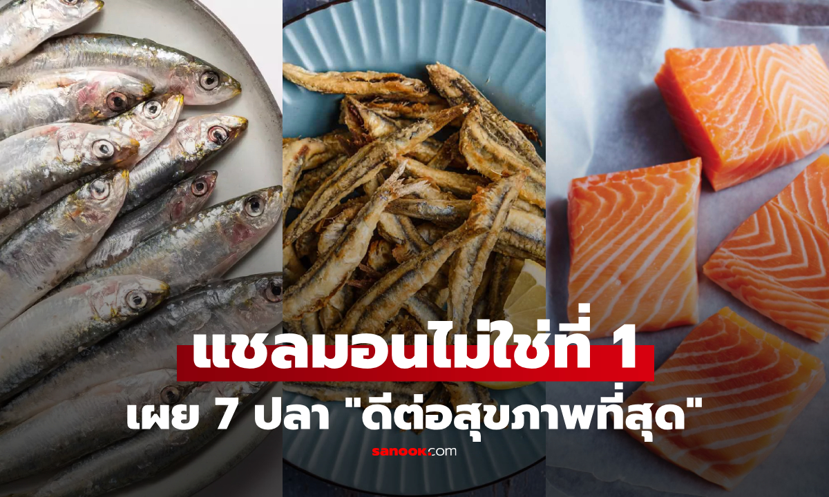 7 ปลาที่ดีต่อสุขภาพที่สุด: เซอร์ไพรส์! อันดับ 1 ไม่ใช่ "แซลมอน" แต่เป็นปลาราคาถูกๆ