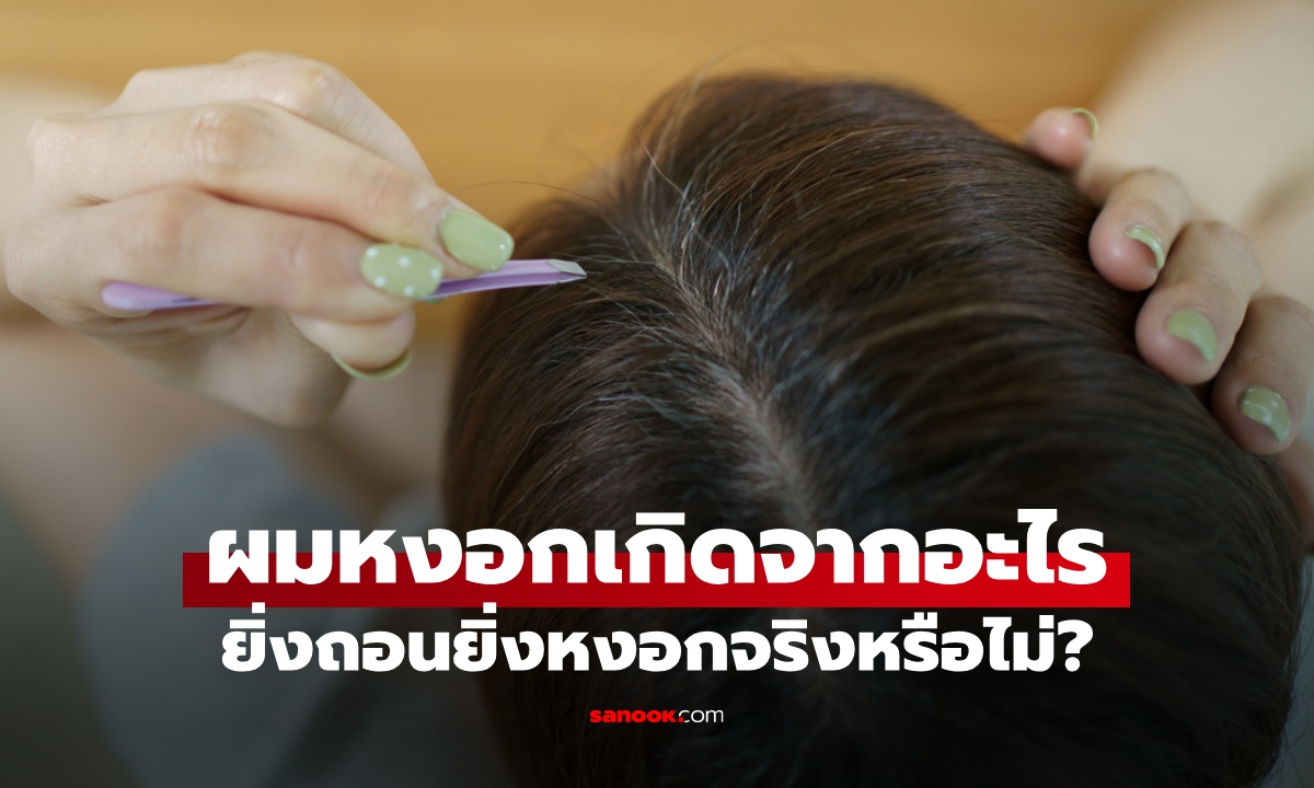 ไขข้อสงสัย "ผมหงอก" เกิดจากอะไร กลับมาดําได้ไหม ยิ่งถอนยิ่งหงอกจริงหรือไม่?