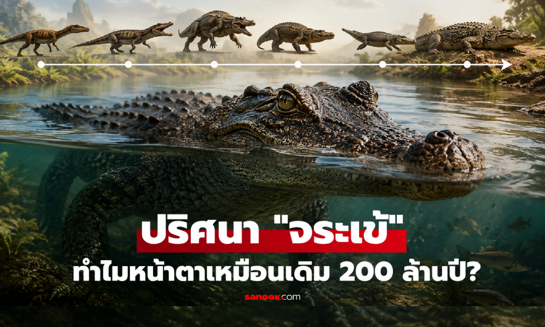 "จระเข้" ไม่ได้หยุดวิวัฒนาการ! แล้วทำไมหน้าตาเหมือนเดิมกว่า 200 ล้านปี?