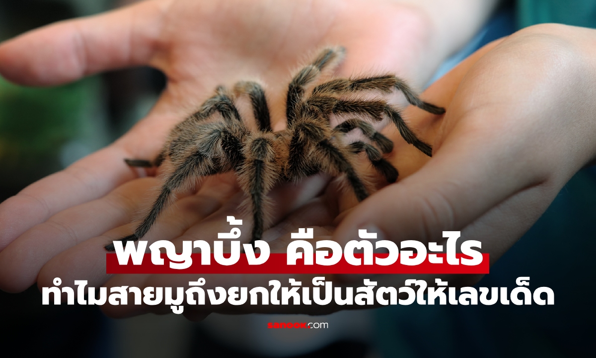 ทำความรู้จัก! พญาบึ้ง คือตัวอะไร ทำไมสายมูถึงเชื่อว่าให้เลขเด็ด