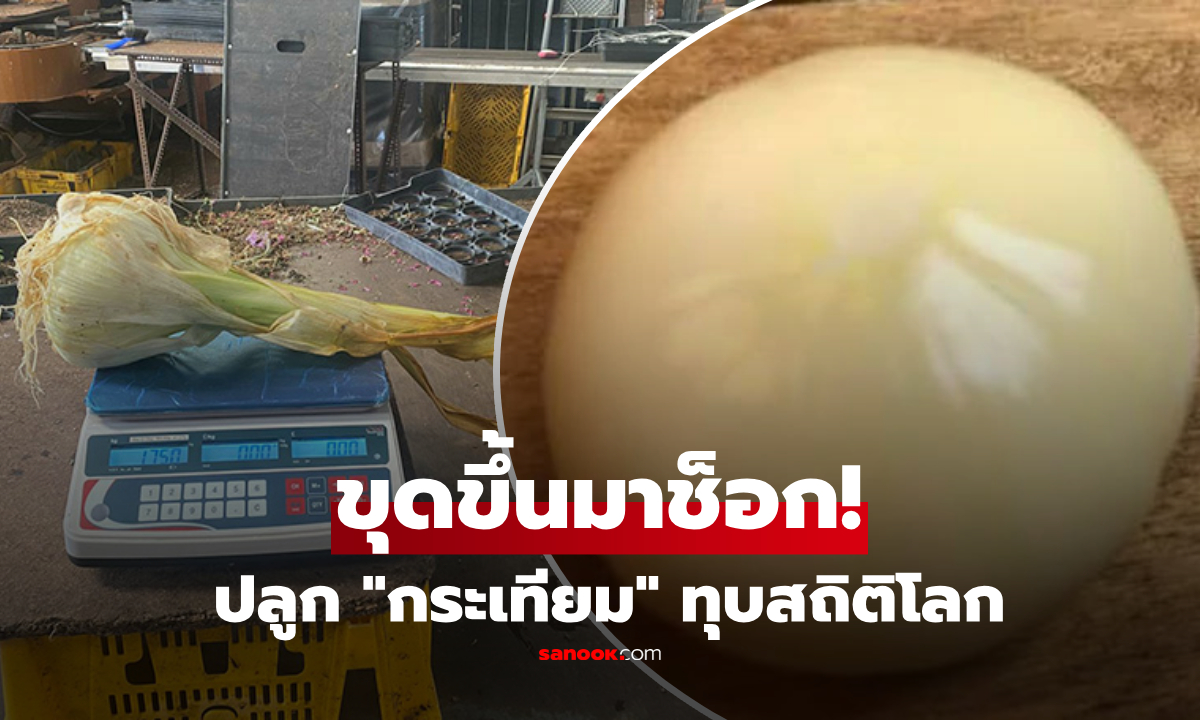 ชายปลูก \