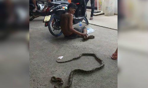 หนุ่มฉุนงูเหลือมกัด ตื้บตายคาเท้า โวยวายจะแจ้งความเอาผิดงู