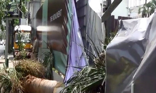 สลด! คนงานตัดต้นปาล์ม ล้มทับพ่อค้าริมทางดับกลางกรุง