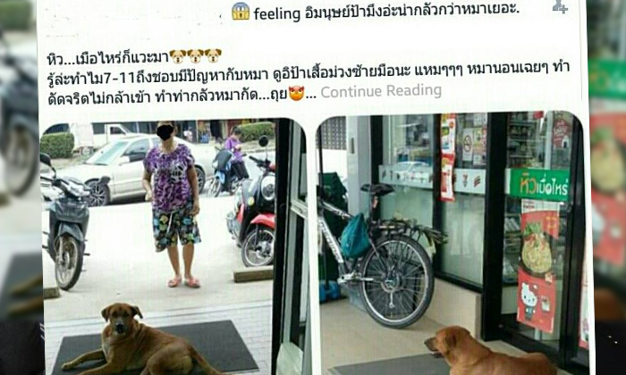 แชร์ว่อน! ถ่ายรูปประจานป้ากลัวสุนัข พร้อมด่า \