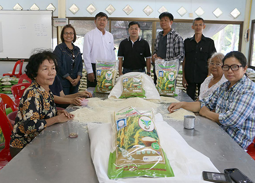 ชาวนาพิจิตรสุดปลื้ม!ออเดอร์สั่งซื้อข้าว3พันถุง